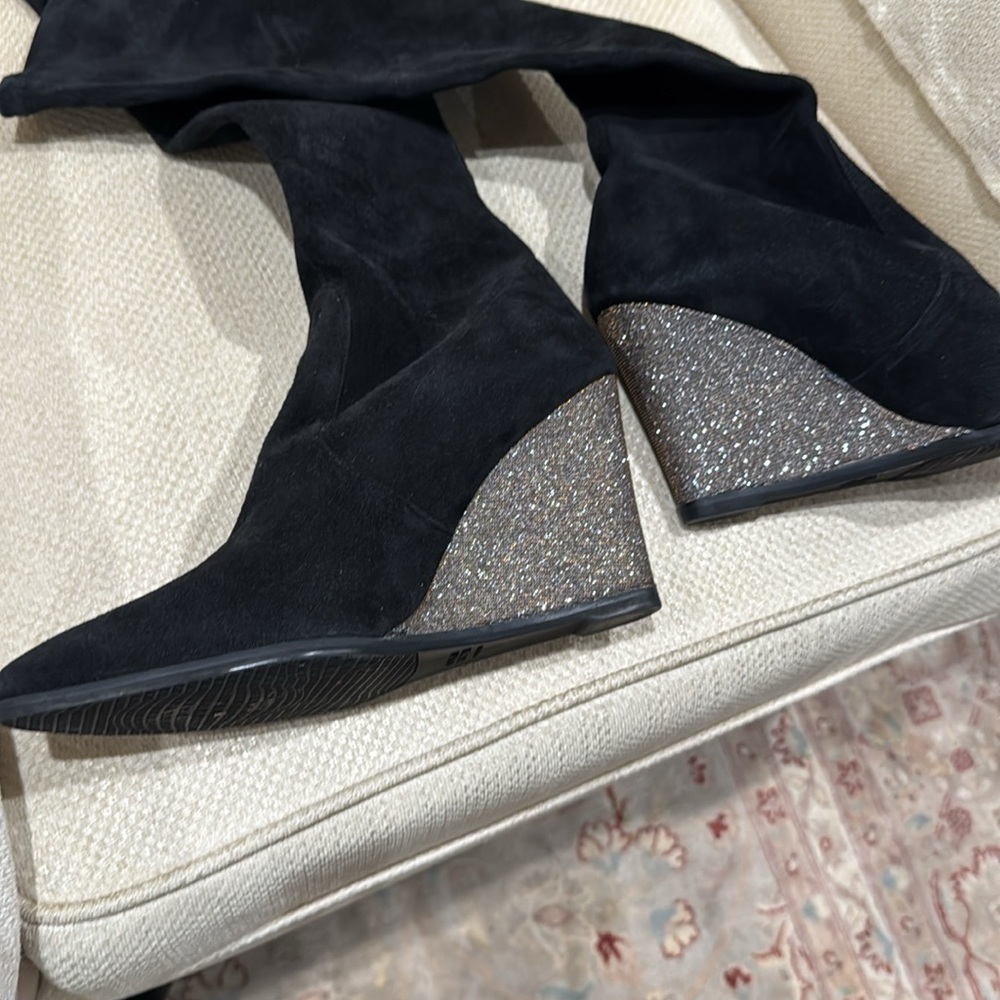 Stewart Weitzman Suede Leather Boots
